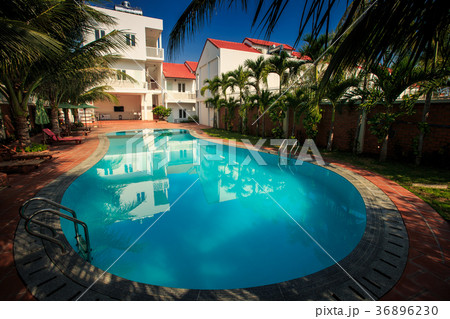 Beautiful Large Oval Pool among Palm Trees Beautiful Large Oval Pool among Palm Trees 36896230