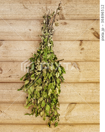 birch twigs 36896512