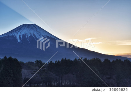 夜明けの富士山 36896626