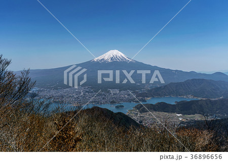 黒岳からの富士 36896656