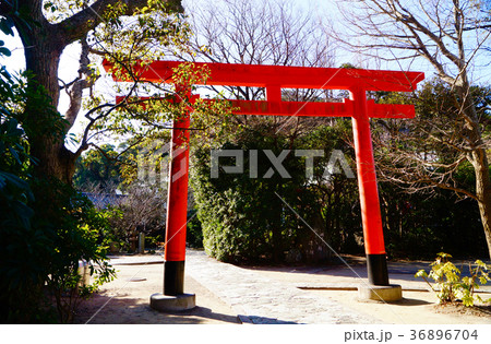 加太 淡島神社の鳥居 和歌山県和歌山市加太 加太 淡島神社の鳥居 和歌山県和歌山市加太 36896704