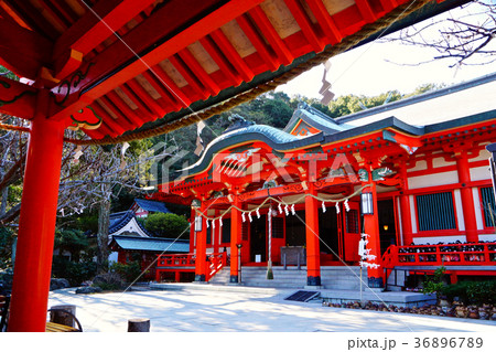 加太淡島神社社殿 和歌山市加太 加太淡島神社社殿 和歌山市加太 36896789