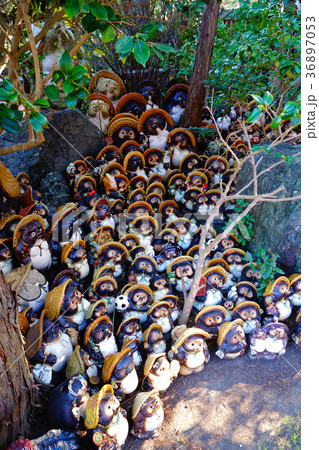 加太 淡島神社境内の人形供養 和歌山県和歌山市加太 加太 淡島神社境内の人形供養 和歌山県和歌山市加太 36897053
