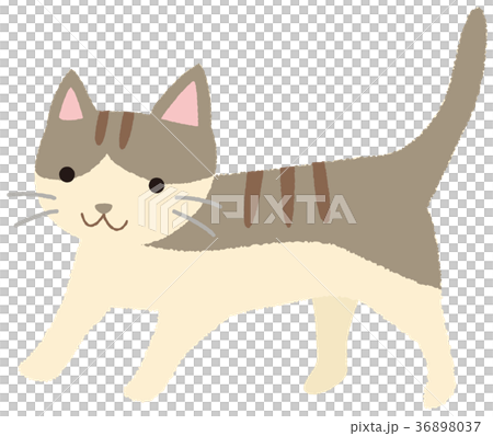 Cat cat cat Kijitra - Stock Illustration [36898037] - PIXTA
