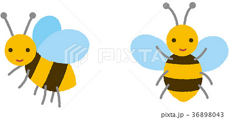 ミツバチ 蜂のイラスト素材