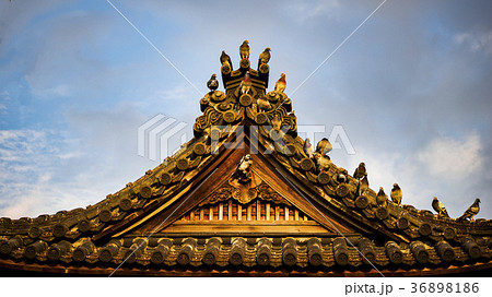寺 寺院 神殿 36898186