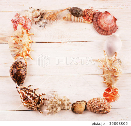 Frame of seashells 36898306
