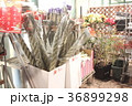 年末 36899298