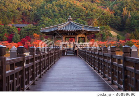 Wolyeonggyo, Wooden bridge Andong, South Korea. 36899690