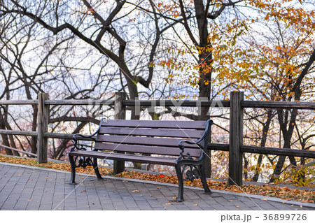 wooden park bench wooden park bench 36899726