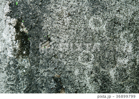 テクスチャー ひび割れ　コンクリート　壁　吹き付け　まだら　模様　白　灰色　シミ　ヒビ　クラック 36899799