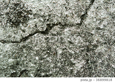 テクスチャー ひび割れ　コンクリート　壁　吹き付け　まだら　模様　白　灰色　シミ　ヒビ　クラック 36899818