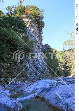 愛媛県ン久万高原町 面河渓 鉄砲石川キャンプ場付近の風景 愛媛県ン久万高原町 面河渓 鉄砲石川キャンプ場付近の風景 36900236