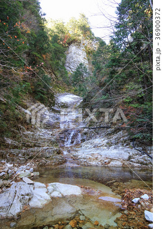 愛媛県久万高原町 面河渓 千段滝 愛媛県久万高原町 面河渓 千段滝 36900372