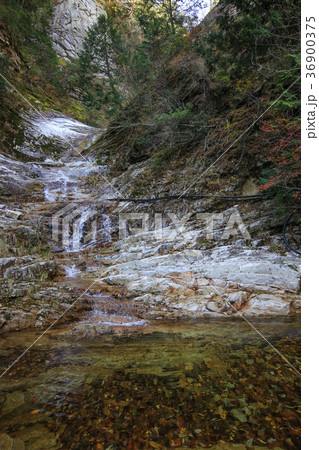 愛媛県久万高原町 面河渓 千段滝 愛媛県久万高原町 面河渓 千段滝 36900375