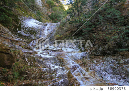愛媛県久万高原町 面河渓 千段滝 愛媛県久万高原町 面河渓 千段滝 36900378