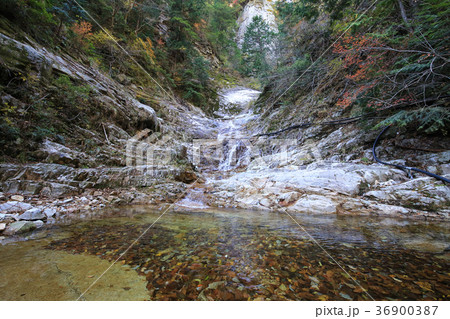 愛媛県久万高原町　面河渓　千段滝 36900387