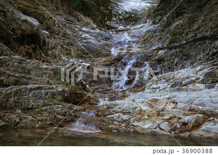 愛媛県久万高原町 面河渓 千段滝 愛媛県久万高原町 面河渓 千段滝 36900388