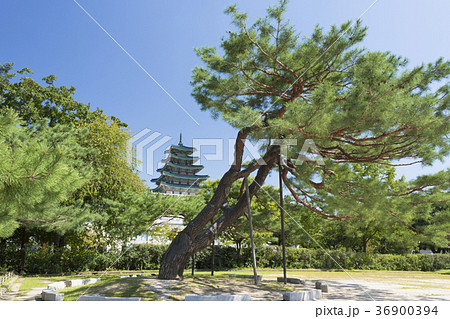 国立民族学博物館 36900394