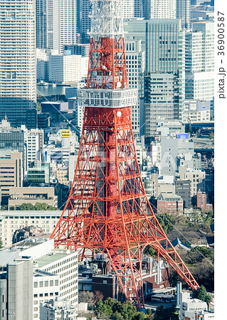 新宿都庁ビルから見渡した東京のビル群と東京タワーの写真素材