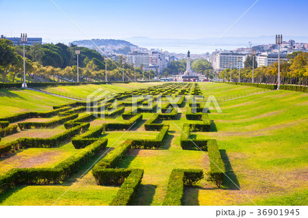 Edward VII sloped scenic park in Lisbon 36901945
