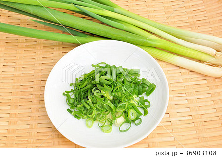 九条ねぎ 36903108