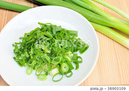 九条ねぎ 九条ねぎ 36903109
