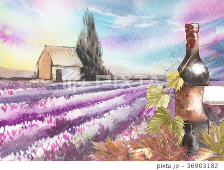 Bottles and leaves of grapes. Background with a 36903182