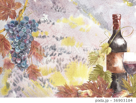 Bottles and leaves of grapes. Background with a 36903184
