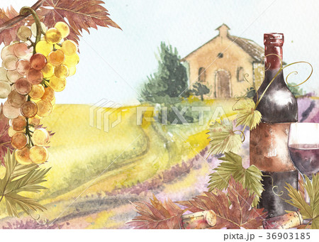 Bottles and leaves of grapes. Background with a Bottles and leaves of grapes. Background with a 36903185
