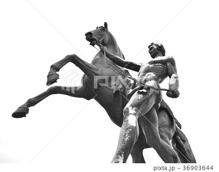 Statue of a horse on the Anichkov Bridge. 36903644