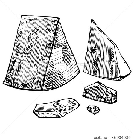 Parmesan cheese on white background. Vector hand 36904086