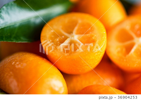 Kumquat or cumquat on wooden table 36904253