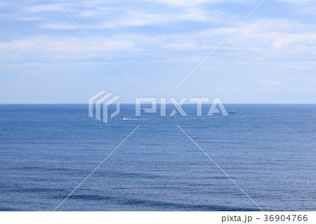 勝浦市 御宿町の海 勝浦市 御宿町の海 36904766