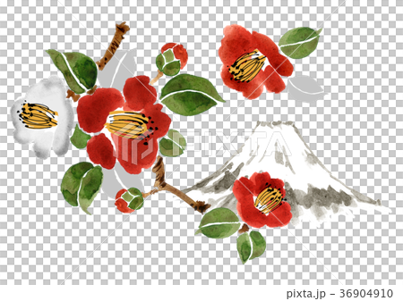 富士山と椿のイラスト素材 [36904910] - PIXTA