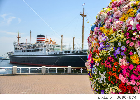 山下公園風景 36904974
