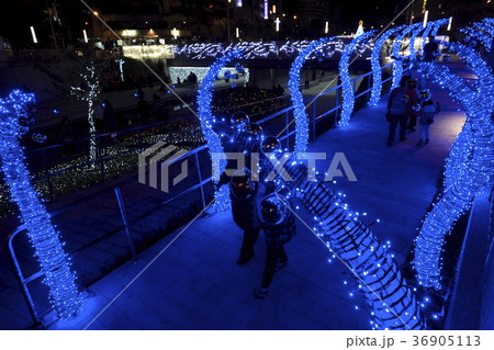 台中柳川クリスマスイルミネーション 台中柳川クリスマスイルミネーション 36905113