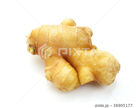 小生姜(千葉県産） 36905177