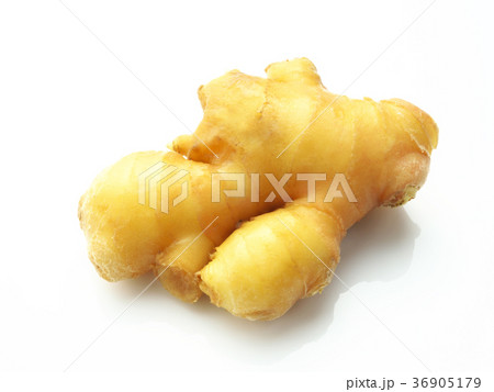 小生姜(千葉県産） 36905179