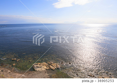 勝浦市　大沢付近の海 36905253