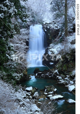 冬の奈曽の白滝 36905409