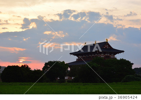 奈良市平城京跡 夕景 奈良市平城京跡 夕景 36905424