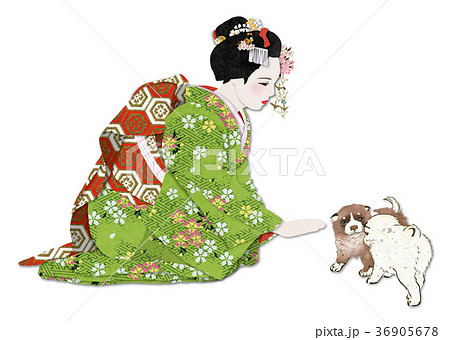 舞妓さん 舞妓さん 36905678