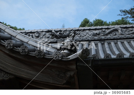 愛媛県の加茂神社2017その7 愛媛県の加茂神社2017その7 36905685