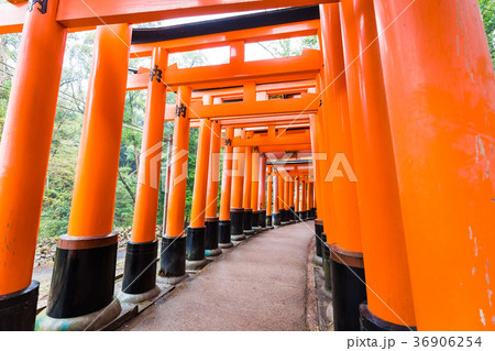 Architecture of Tori Gate Fushimi Inari Shrine, 36906254