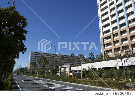 浦安市 12月 36906408