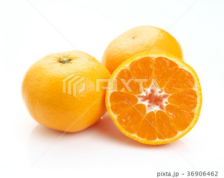 蒲郡みかん（愛知県産） 36906462