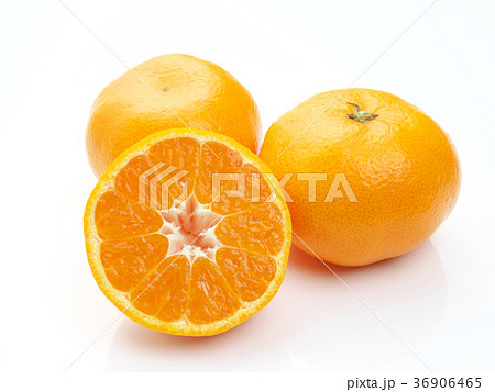 蒲郡みかん(愛知県産) 蒲郡みかん(愛知県産) 36906465