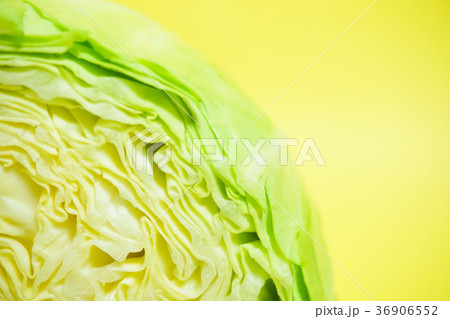輪切りにしたキャベツ 黄色背景 輪切りにしたキャベツ 黄色背景 36906552