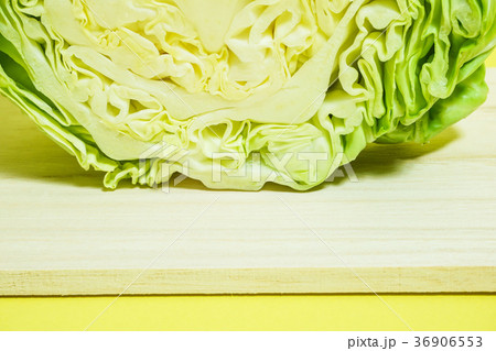 輪切りにしたキャベツ　黄色背景 36906553